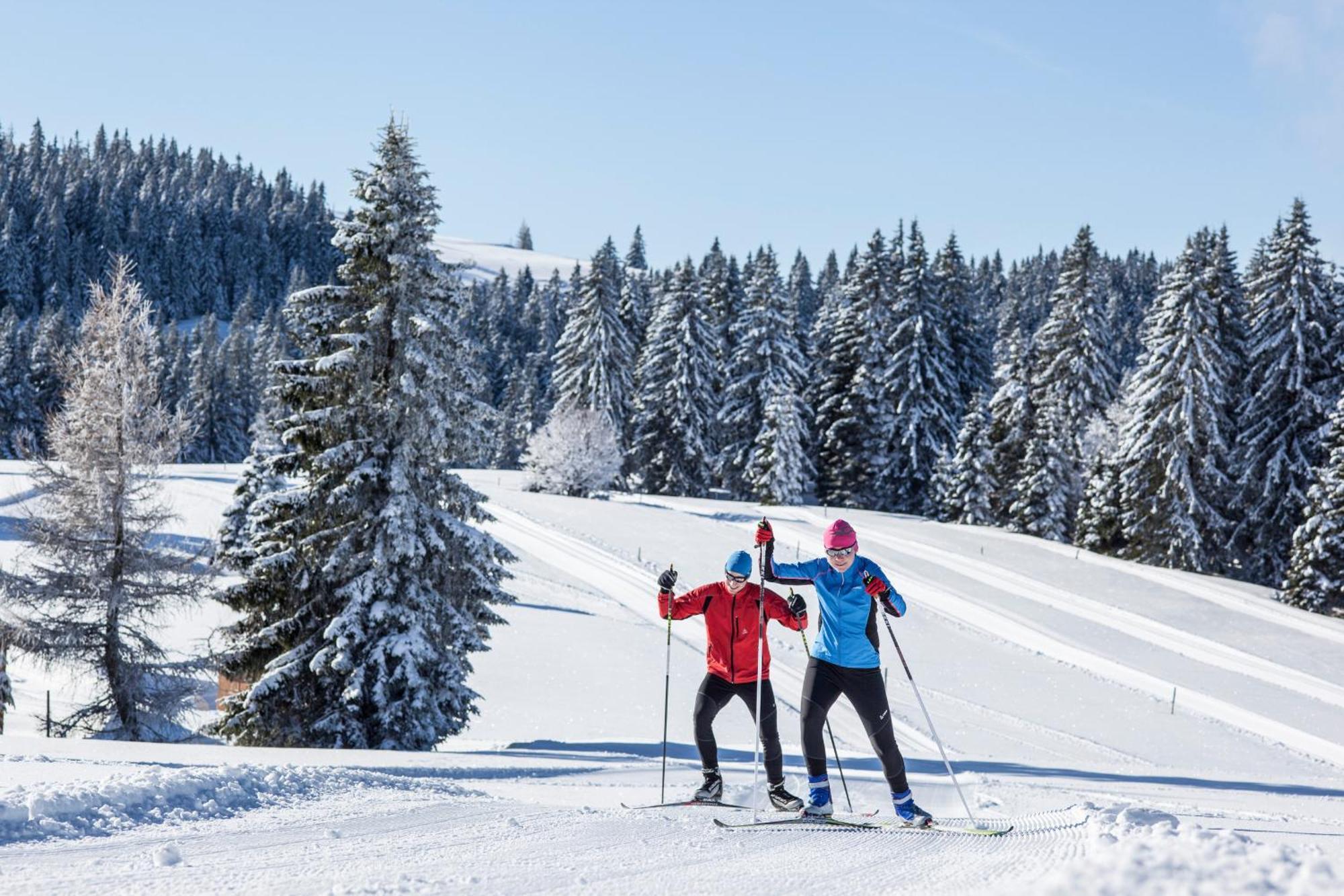 Ferienwohnung Seeblick Nr 5, 2 Zi-Baerental, Feldberg Rotwasser Bagian luar foto