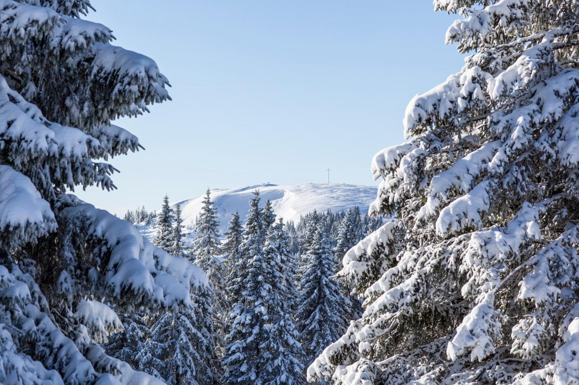 Ferienwohnung Seeblick Nr 5, 2 Zi-Baerental, Feldberg Rotwasser Bagian luar foto