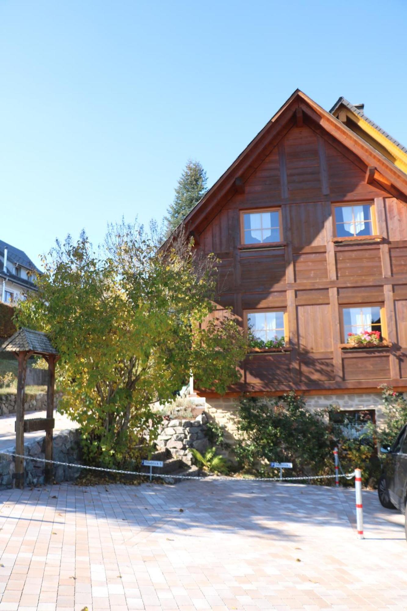 Ferienwohnung Seeblick Nr 5, 2 Zi-Baerental, Feldberg Rotwasser Bagian luar foto