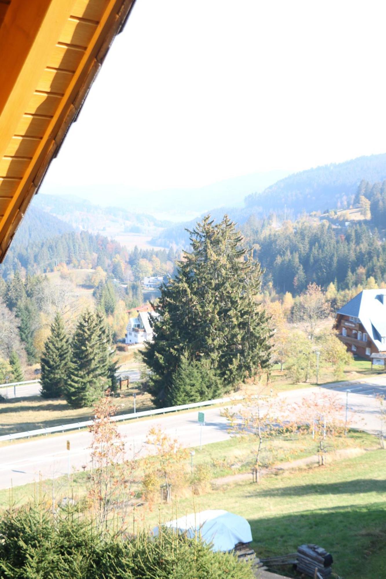 Ferienwohnung Seeblick Nr 5, 2 Zi-Baerental, Feldberg Rotwasser Bagian luar foto