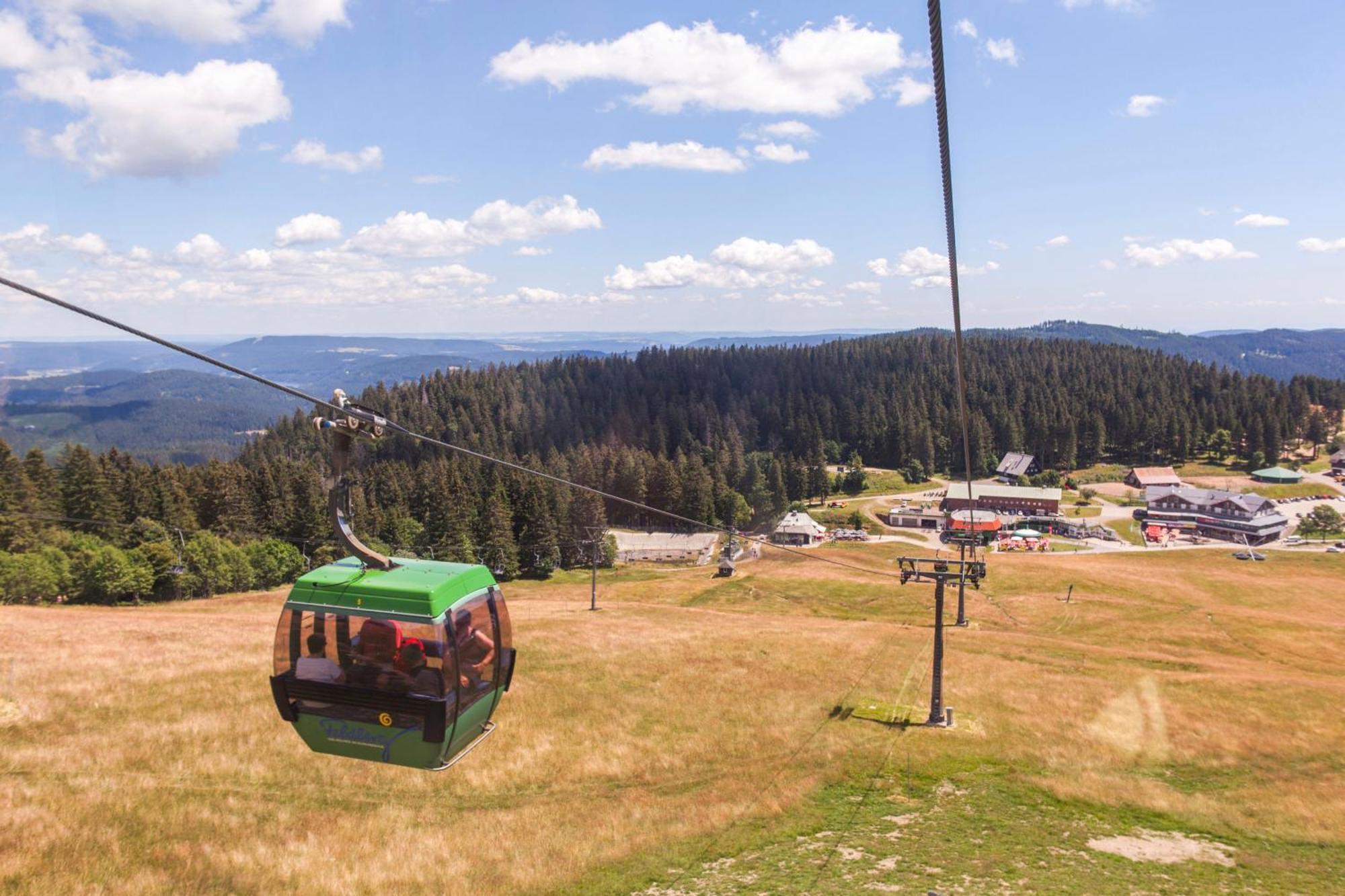 Ferienwohnung Seeblick Nr 5, 2 Zi-Baerental, Feldberg Rotwasser Bagian luar foto