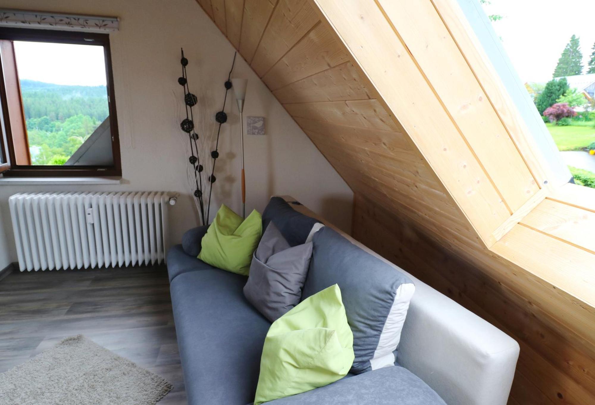 Ferienwohnung Seeblick Nr 5, 2 Zi-Baerental, Feldberg Rotwasser Bagian luar foto